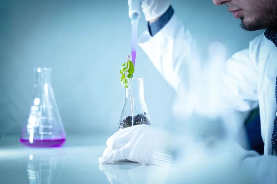 Lab technician preparing a plantlet for the next stage
